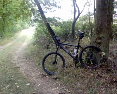 Mein Bike am Baum