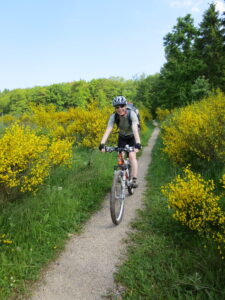 Heike auf dem Eifelsteig