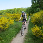 Heike auf dem Eifelsteig